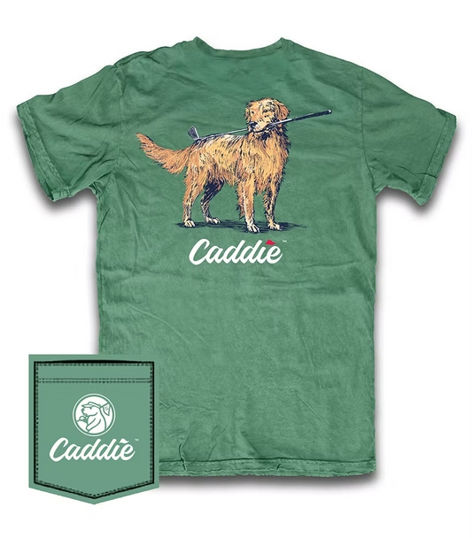 Youth Caddie Club Retriever