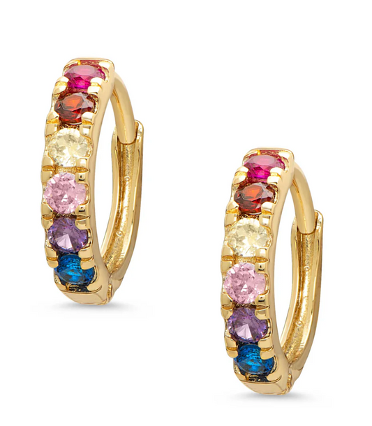 Hoop Earrings - Multi