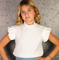 Knit Ruffle Sleeve Top