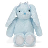 Snuggle Bunny Plush