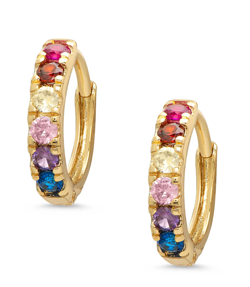 Hoop Earrings - Multi