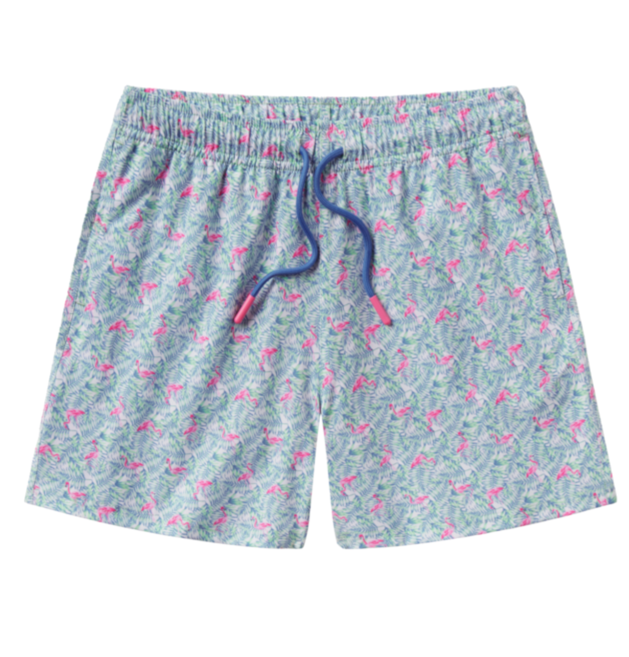 Boys Flamingle Swim Shorts
